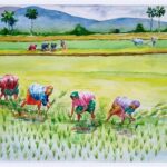 Rhythms of the Field